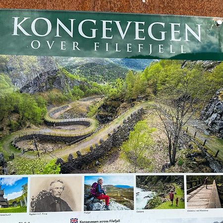 Mjosvang Kafe Vang I Valdres Экстерьер фото